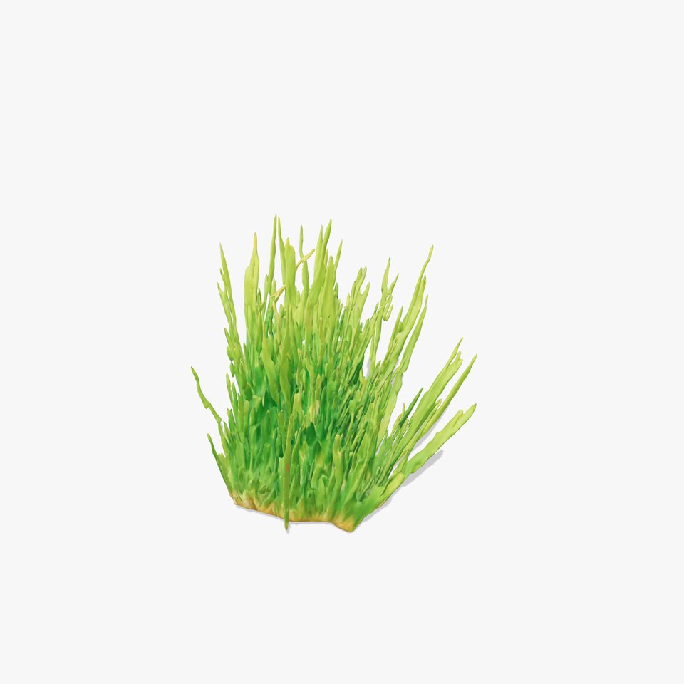 Vibrant Grass Cluster model pack